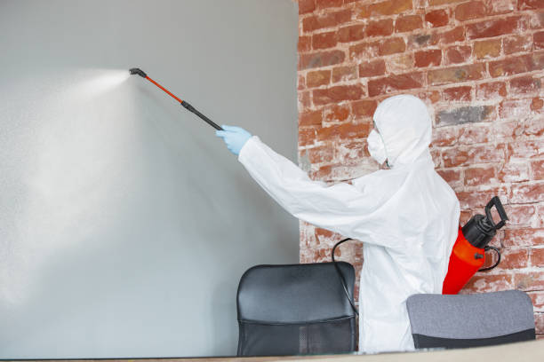 Asbestos and Lead Testing During Mold Inspection in Edgewood, FL