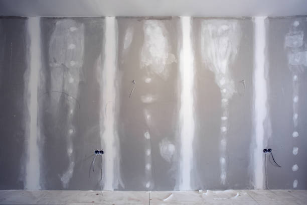 Environmental Consulting for Mold Prevention in Edgewood, FL